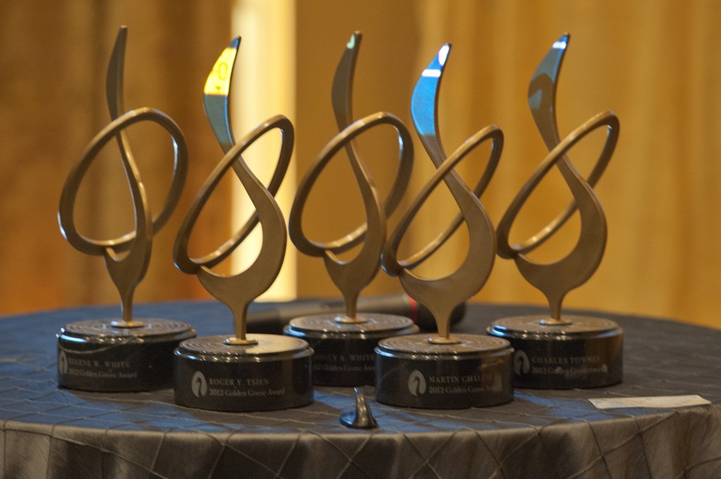 Golden Goose Award 2014 www.idsltda.uy