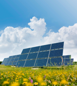 Solar Leads in Global Investment Dollars 