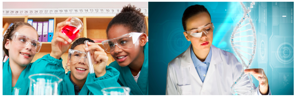 Full STEM Ahead, Siemens Foundation Student winners Science, Technology, Math & Engineering